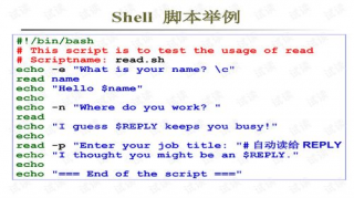 轻松掌握Shell脚本编程，开启自动化之路！