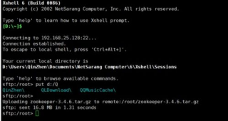 sftp传输文件命令 shell,你的私人快递员